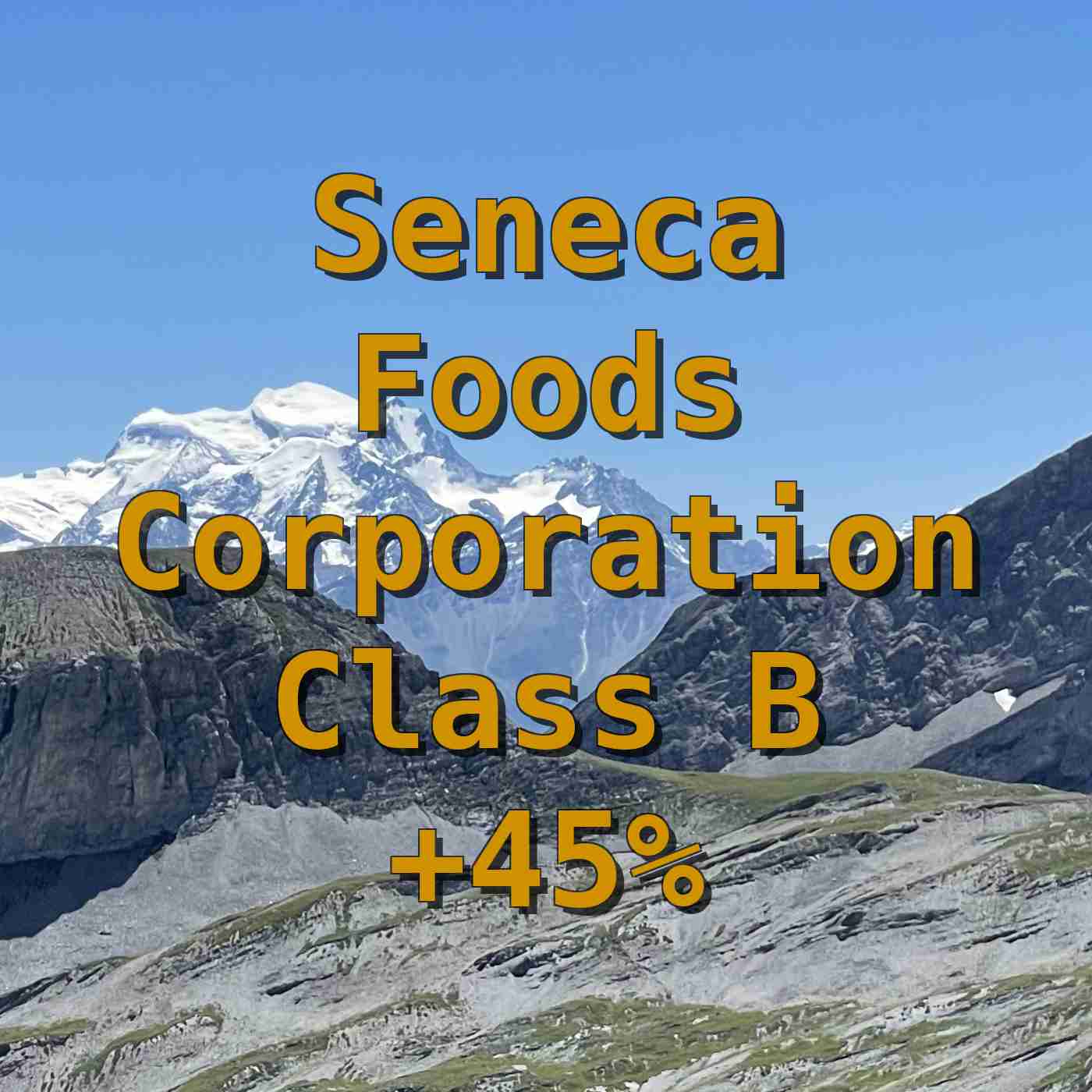 Seneca Foods Corporation Class B +45%